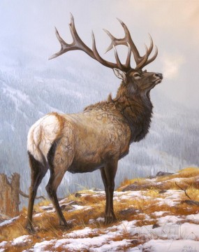 dw008iD animal deer Oil Paintings